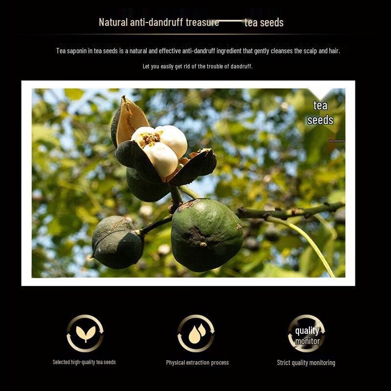 Seeyoung Tea Seed Anti-Dandruff Shampoo & Conditioner Set