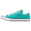 Chuck Taylor All Star Винтажные Повседневные Низкие Эспадрильи Унисекс Ярко-зеленый