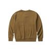 Champion Sweatshirts Unisex Crew Neck Moderate Regular (Unisex) Sweatshirts C3 U023