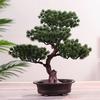 Beautiful Pine Tree Decorative Bonsai Simulation And Realistic Diy Simple Potted Plant Ornaments KTY