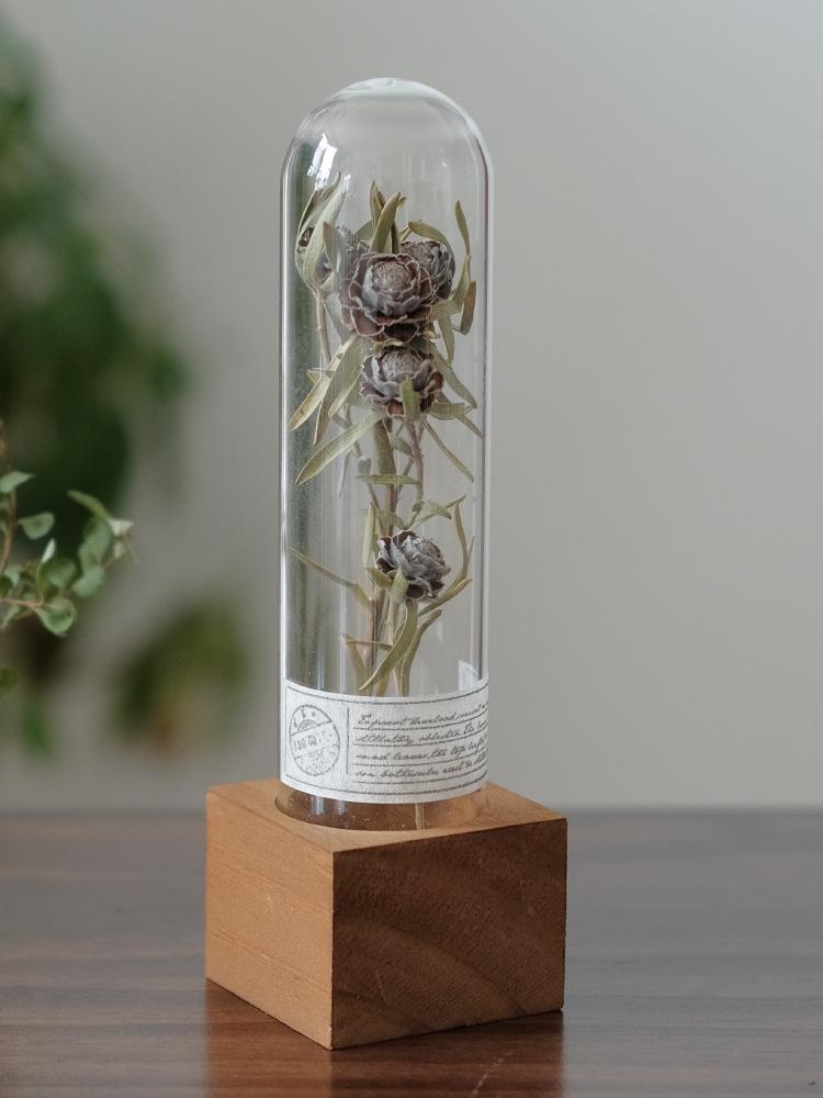 Wabi-Sabi Style Xian Porcelain Test Tube Rack: Retro Gift for Dried and Preserved Flowers, Plant Specimen Display