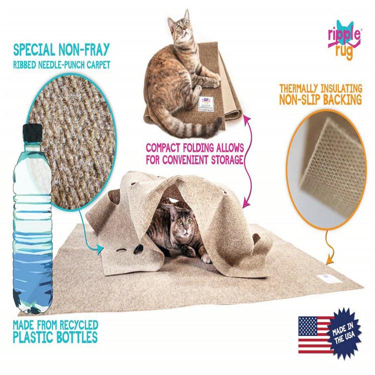 Pet Play & Bite Mat - Cat Litter & Kitten Activity Mat