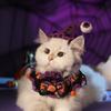 Дышащие костюмы для питомцев на Хэллоуин, одежда, тыква, Хэллоуин, головной убор кошки, мультяшная полая кошка, вязаная шляпа, слюнявчик, аксессуары для питомцев
