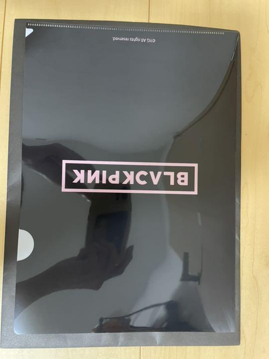 [USED] BLACKPINK Rosé Clear File with 3 Bonus Can Badges