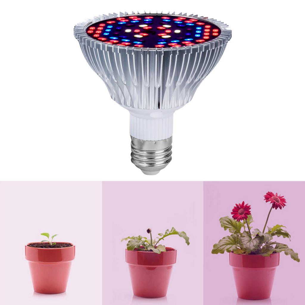 Светодиодная лампа для выращивания комнатных растений. Светодиодные лампы полного спектра Sunlike для выращивания суккулентов.
