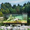 Transparent Reptile Terrarium Visual Reptile Habitat Insect Observation Box  Amphibians