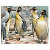 5D Diy Diamond Painting Cross Stitch Inlaid Iceland Penguin Rhinestone Diamond Embroidery