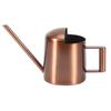 300ml Small Stainless Steel Watering Can Plant Flower Long Spout Sprinkling Pot for Home Use