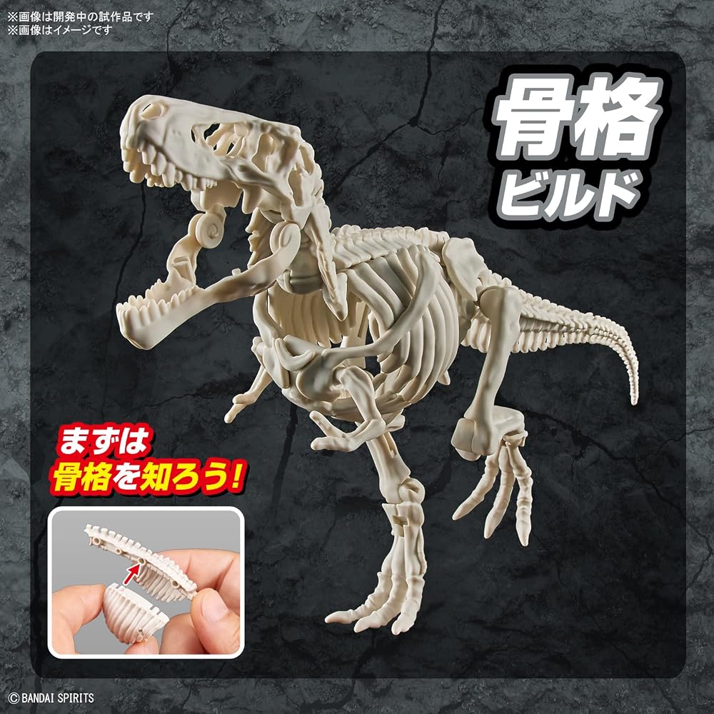 BANDAI SPIRITS (Bandai Spirits) Плантозавр Тираннозавр Пластиковая модель с цветовой кодировкой