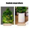 Night Light Pine Cypress Tree Simulation Lamp Battery Operated Desk Night Light