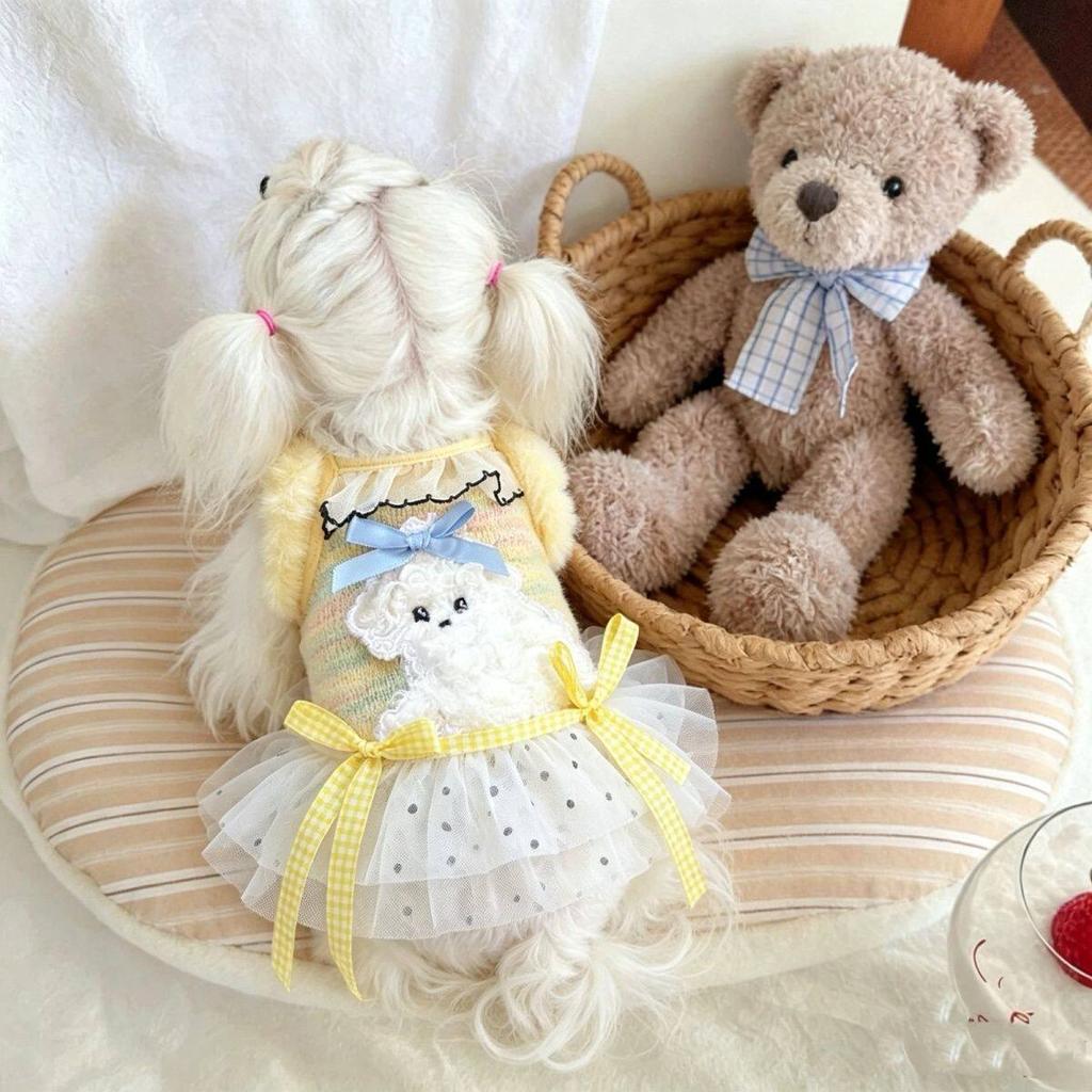 Super cute plush princess skirt autumn and winter thickened with plush polka dot gauze skirt Bichon Maltese small dog clothes