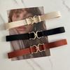 3Cm Elastic Pair Buckle Elastic Thin Waist Seal Women'S Dress Decorative Thin Belt Simple Belt