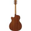 IBANEZ High Ibanez Acoustic / PC34MHCE-NT (Natural Gloss) [Electric Guitar]