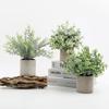 Artificial Potted Plants Eucalyptus Rosemary Desktop Mini Fake Green Plant for Home Office Study Room Decoration Plants Bonsai