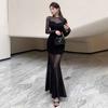 2025 Women's Temperament Sexy Mesh Splicing Perspective Slim Dress