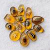 Случайные 10 шт. Детские настоящие образцы насекомых в смоле янтаре цикада цикада сороконожка черный скорпион жук-лопаторог паук панцирь