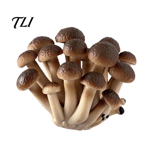 Nature Inspired Magnet 3D Mushroom Refrigerator Magnet, Resin Fake Decorative Kitchen Magnets Photo Notes Holder for Whiteboard Cabinet