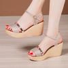 High Heel Wedges Sandals For Women 2024 Summer New Platform Fashion Footwear Red Black Gold Silver Large Size Sandals 32-43