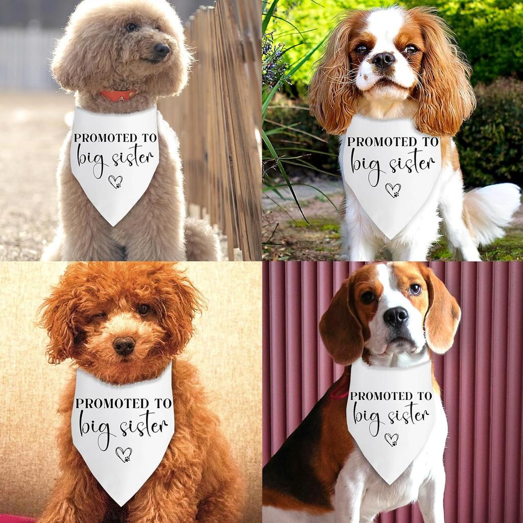 Promoted to Big Sister Dog Bandana Pregnancy Announcement Dog Baby Announcement Gender Reveal Photo Puppy Big Sister Bandana for Small Medium Cat