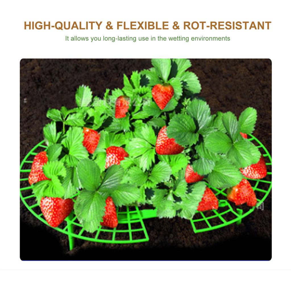 Strawberry Frame Holder, 10Pcs Balcony Garden Fruit Stand Gardening Strawberry Plant Frame Keeps Fruit Clean