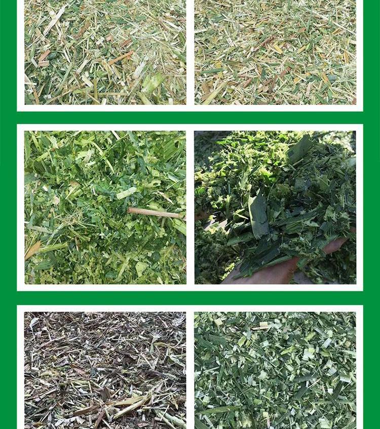 Dual-Use Forage Chopper: Cattle & Sheep Corn Straw Shredder and Kneader