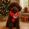 Red Green Dog Knitted Scarf Warm Pet Warm Scarf Decorative Pet Christmas Scarf  Winter Season