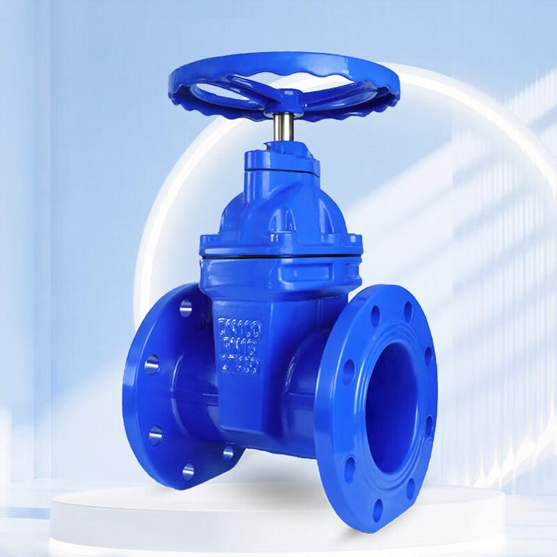 YunDuo Soft Seal Gate Valve