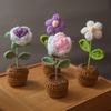 Hand-Knitted Art Decor Flower - Yarn Crochet 3D Eternal Flower Art Piece