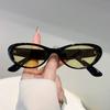 Милые овальные солнцезащитные очки Женская мода Винтажные цветные оправы Модные брендовые дизайнерские Дорожные декоративные Солнцезащитные очки