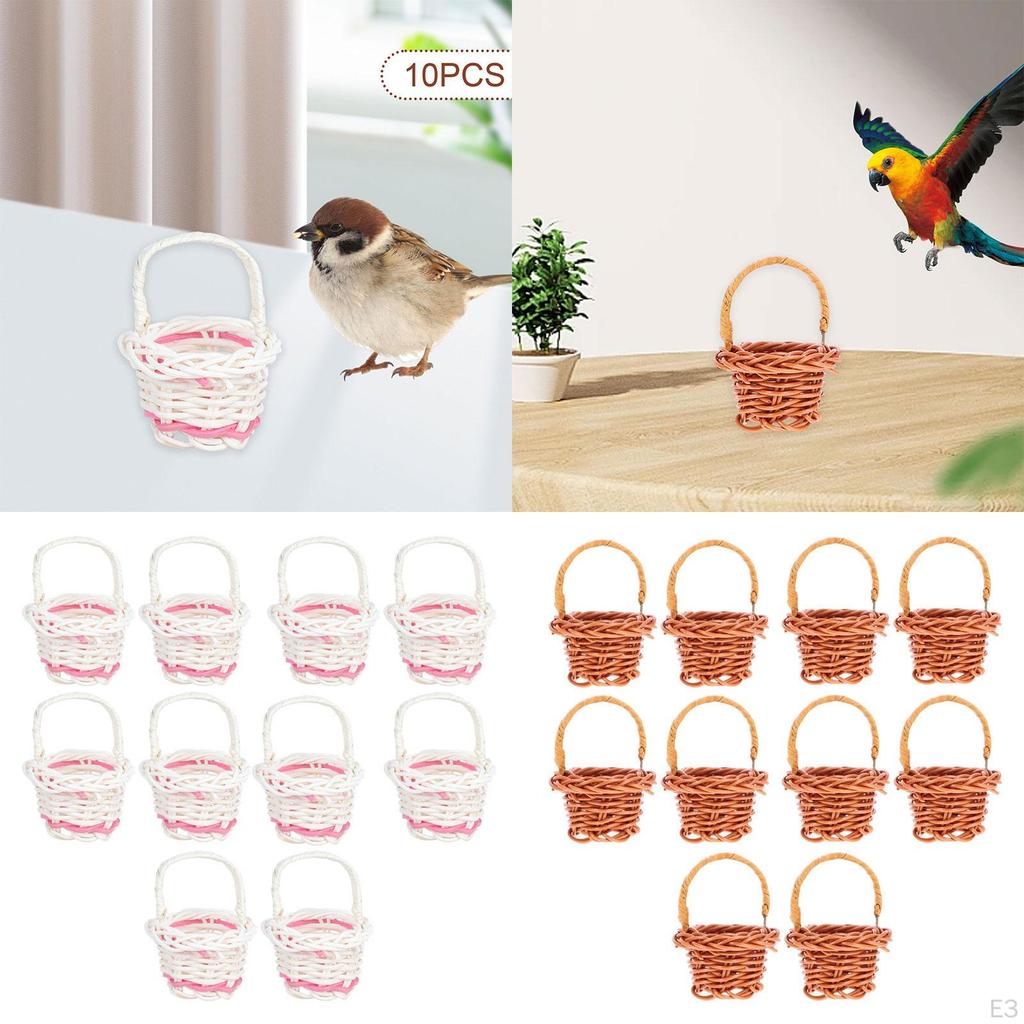 10 Pieces Bird Toy Chewing Hanging Feeder Foraging Basket for Small Animal Parakeet