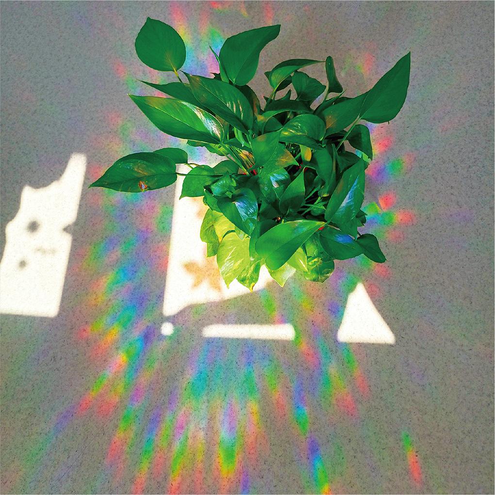 Набор из 3 оконных пленок 'Витражный лист', многоразовые, радужные, самоклеящиеся, съемные декоративные наклейки, наклейки для интерьера, декор для офиса