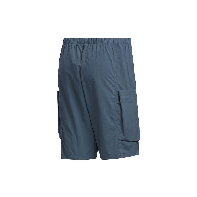 adidas Мужские шорты из технической ткани Trace-Blue FM5403