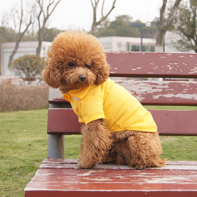 Fresh Striped Pet Polo Shirt - Recommended Spring/Summer Style