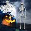Хэллоуин скелет фигурка 5 шт 16 дюймов полное тело подвижные суставы кость статуэтка жуткий