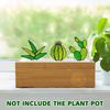 Handmade Colorful Acrylic Cactus Succulent Tropical Potted Plant Ornament Sun Catcher For Garden Home Office Tabletop Decoration