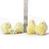 Prop Lovely Doll Home Decoration Kids Toy Easter Plush Chick Lifelike Bird Simulation Furry Chicken