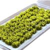 Diorama Flower Set of Railway Miniature Flower House Flowers, Grass, Field, 50, Yellow, Model, Diorama, Miniature, Figure, DIY, Green, Grass, Flowers,