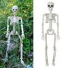 Реалистичные подвижные суставы скелета регулируемый Хэллоуин пластиковый скелет для декора кладбища