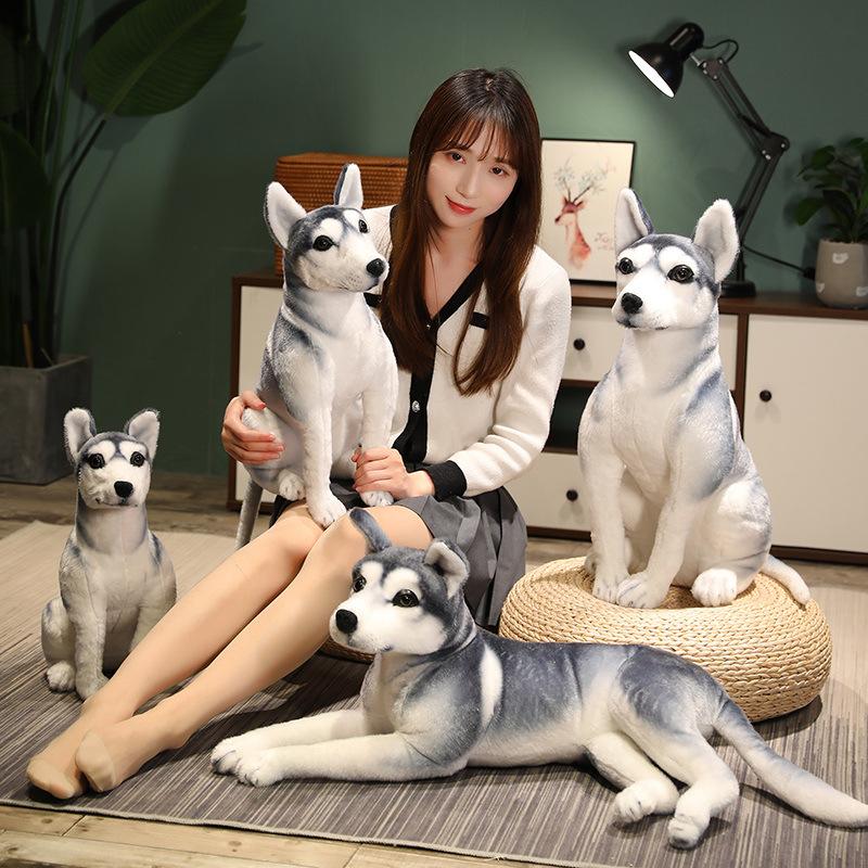 Simulation Husky Doll Plush Toy Dog Erha Doll Children'S Soothing Ragdoll Boy Birthday Gift