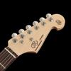 SX (SX) ST Type Electric Guitar, Alder Body, Rosewood Fingerboard, SST/ALDER/R/VGN