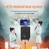 Songchuan International SA9-10 Portable KTV Speaker System CN plug (adapter included)