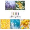 BJYL6 Interior Stickers Car Air Vent Perfume Flavoring Clip Fragrance Aromatherapy Freshener For Lexus ES CT GS NX CT200h IS300h ES300