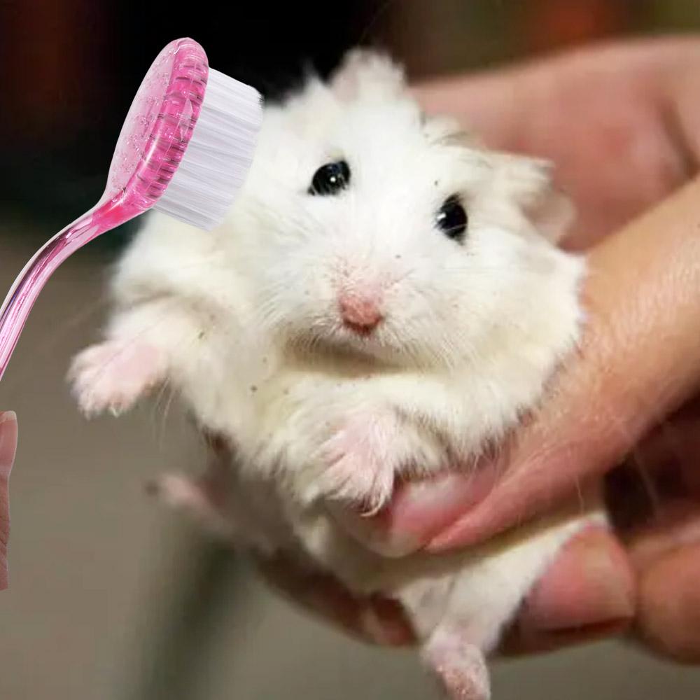 Soft Small Hamster Brush Long Hair Guinea Pig Massage Combs Hedgehog Bathing Brush  Grooming