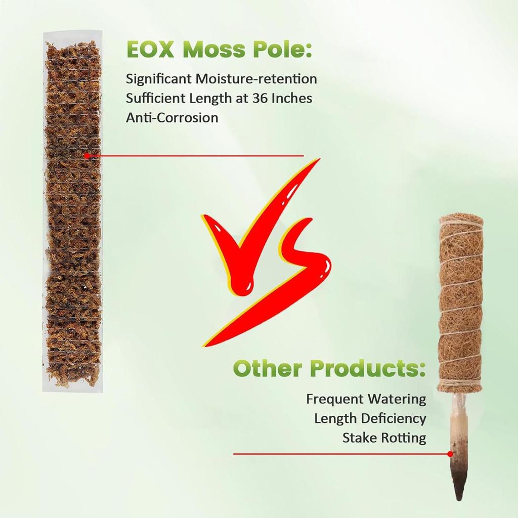 4pcs Plastic Plant Cages Supports Moss Pole Vertical Growth Support Sticks Monstera Plant Support For Climbing Plants 24x4 Inch