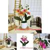 Butterfly Orchid Imitation Flower Set For Home Interior And Outdoor Garden Decoration