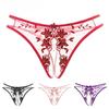 Manyan Sexy Lace Embroidery Thong Hollow Briefs for Women