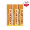 Бальзам для губ Burt's Bees с манго x3