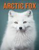 The Arctic Fox : Fun Facts Book for Kids with Amazing Photos Book