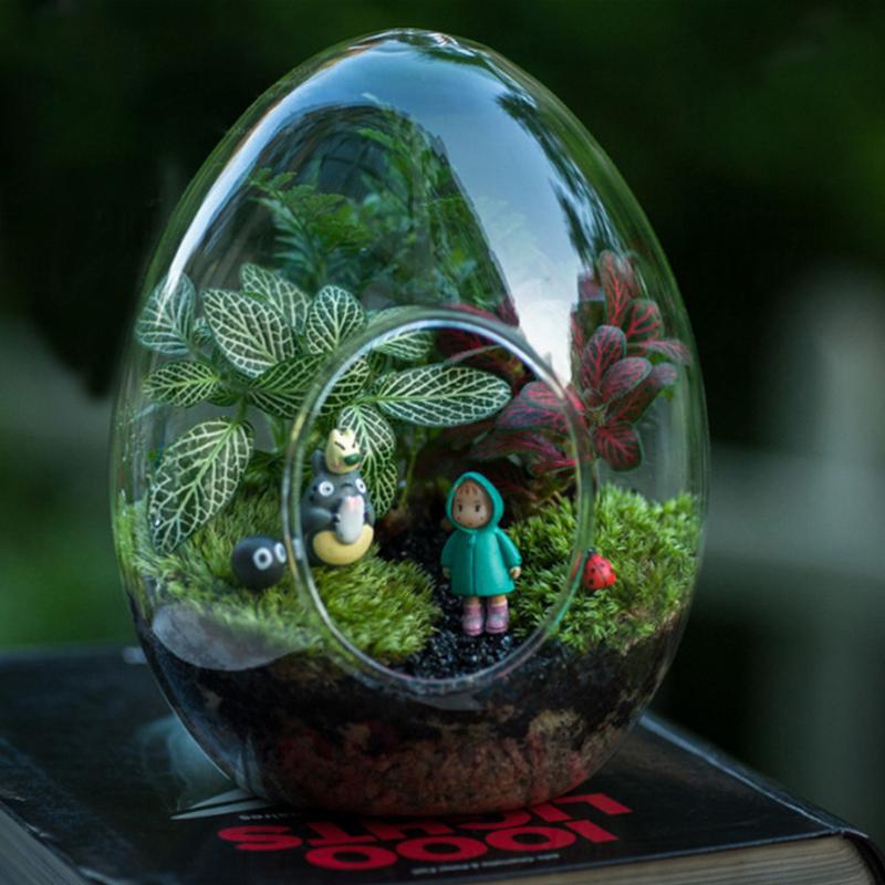 1 шт. креативные новые стеклянные бутылки в форме яйца, суккулентная стеклянная ваза, гидропонный микроландшафтный стеклянный террариум, мох, украшение для дома