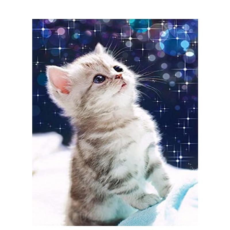 5D Diy Алмазная вышивка животное полная круглая алмазная живопись кошка Алмазная мозаика вышивка крестом подарок ручной работы